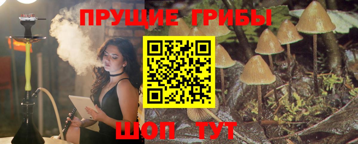 Семилуки  Галлюциногенные грибы Magic Shrooms  Вход с VPN  Галлюциногенные грибы прущие грибы 