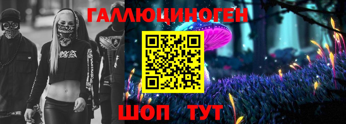 Псилоцибиновые грибы Psilocybe Семилуки